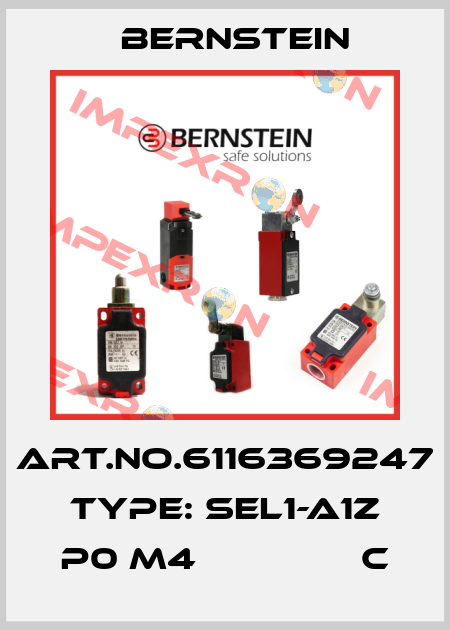Art.No.6116369247 Type: SEL1-A1Z P0 M4               C Bernstein