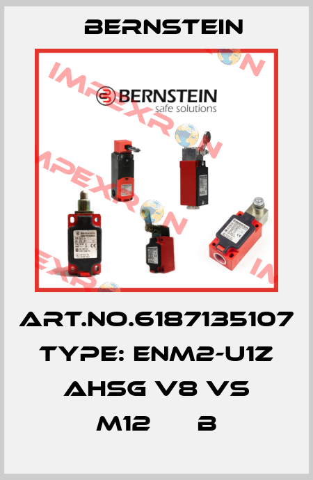 Art.No.6187135107 Type: ENM2-U1Z AHSG V8 VS M12      B Bernstein