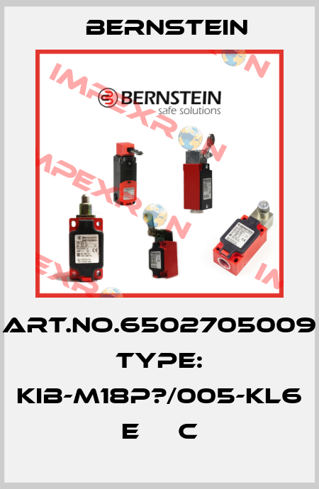 Art.No.6502705009 Type: KIB-M18P?/005-KL6      E     C Bernstein