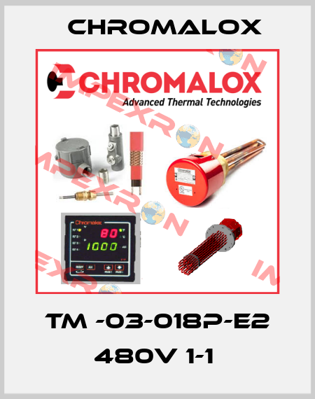 TM -03-018P-E2 480V 1-1  Chromalox