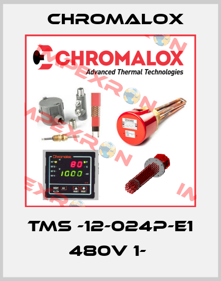 TMS -12-024P-E1 480V 1-  Chromalox