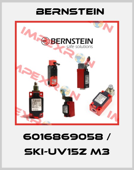 6016869058 / SKI-UV15Z M3 Bernstein