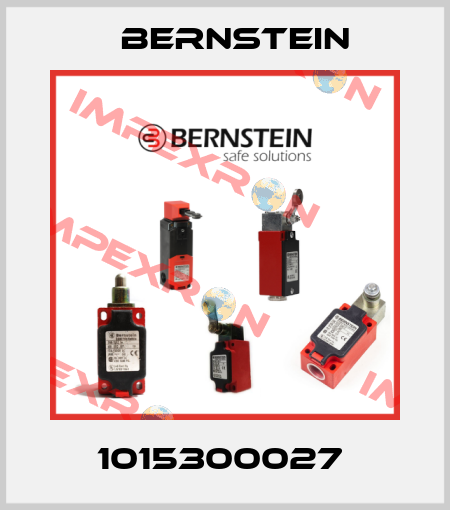 1015300027  Bernstein