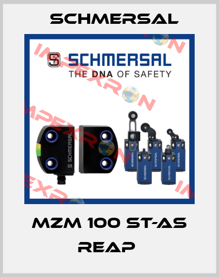 MZM 100 ST-AS REAP  Schmersal