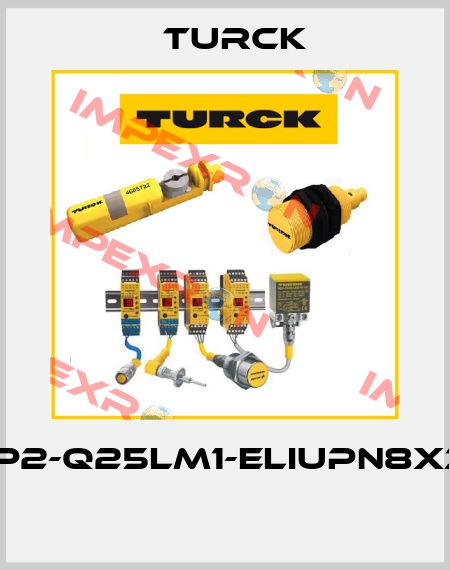 LI900P2-Q25LM1-ELIUPN8X3-H1151  Turck