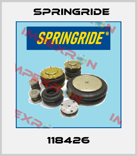 118426 Springride