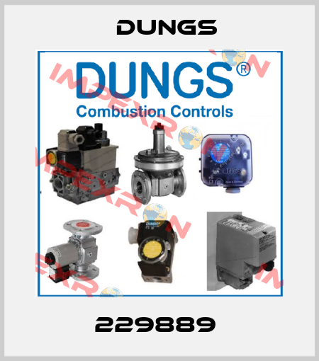229889  Dungs