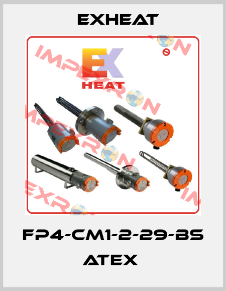 FP4-CM1-2-29-BS ATEX  Exheat