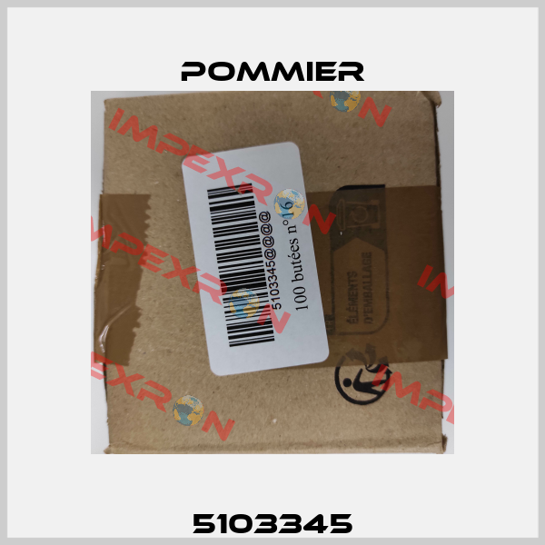 5103345 Pommier