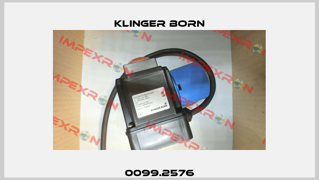 0099.2576 Klinger Born