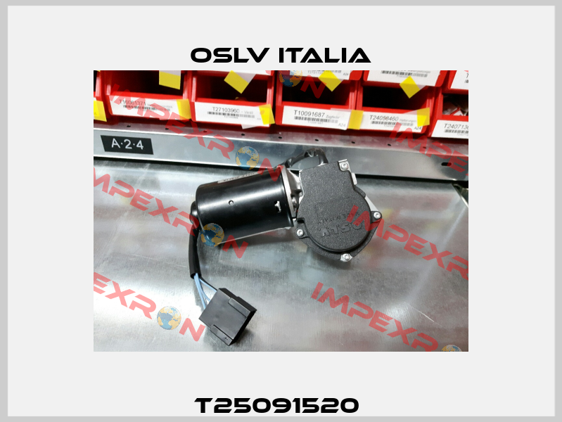 T25091520  OSLV Italia