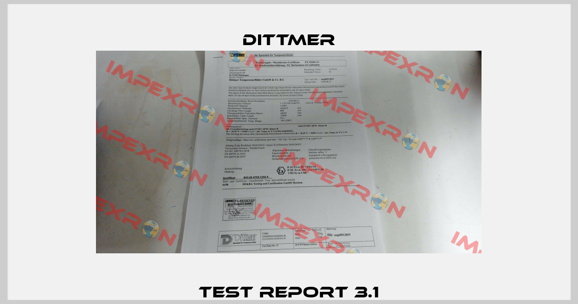 test report 3.1 Dittmer