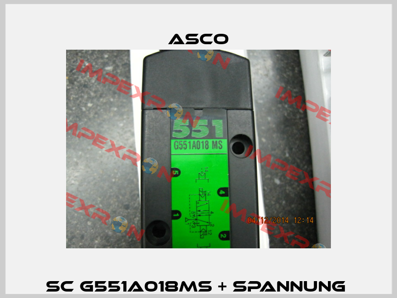 SC G551A018MS + SPANNUNG  Asco