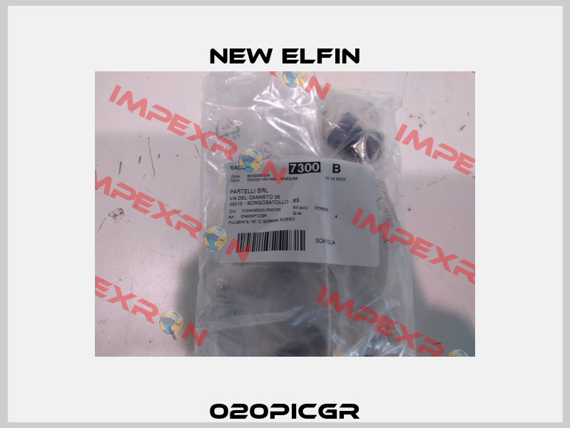 020PICGR New Elfin
