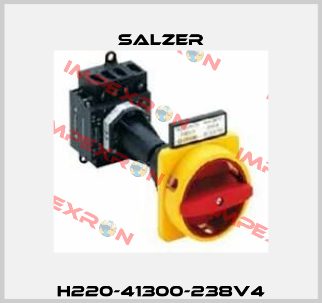 H220-41300-238V4 Salzer