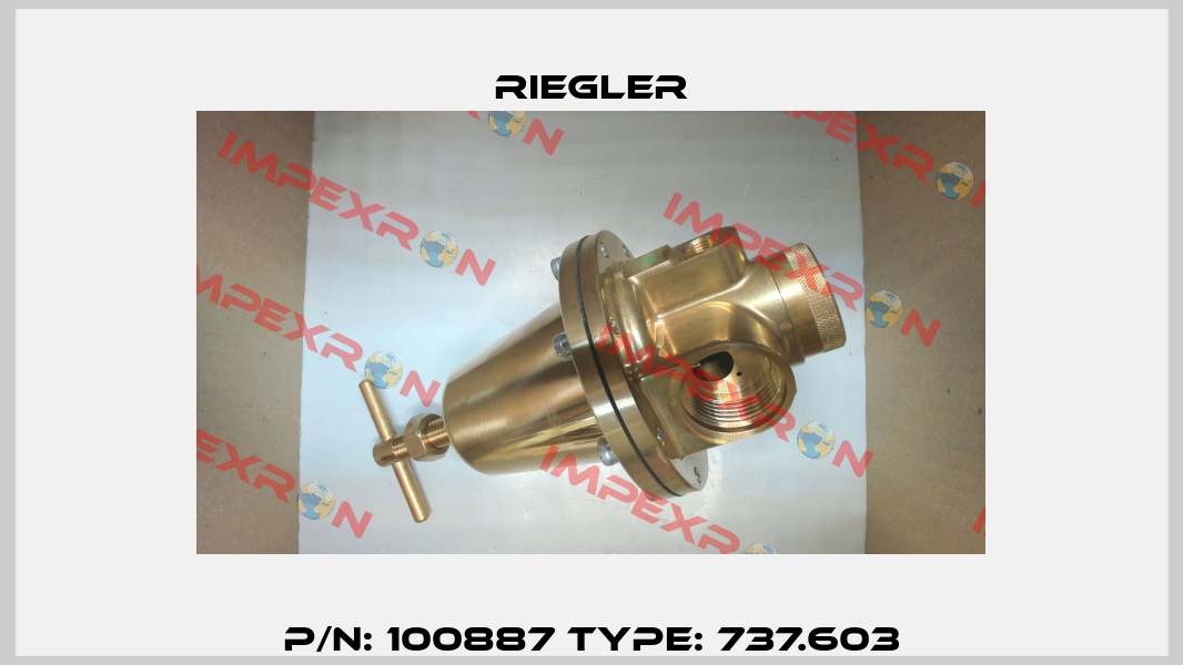 P/N: 100887 Type: 737.603 Riegler