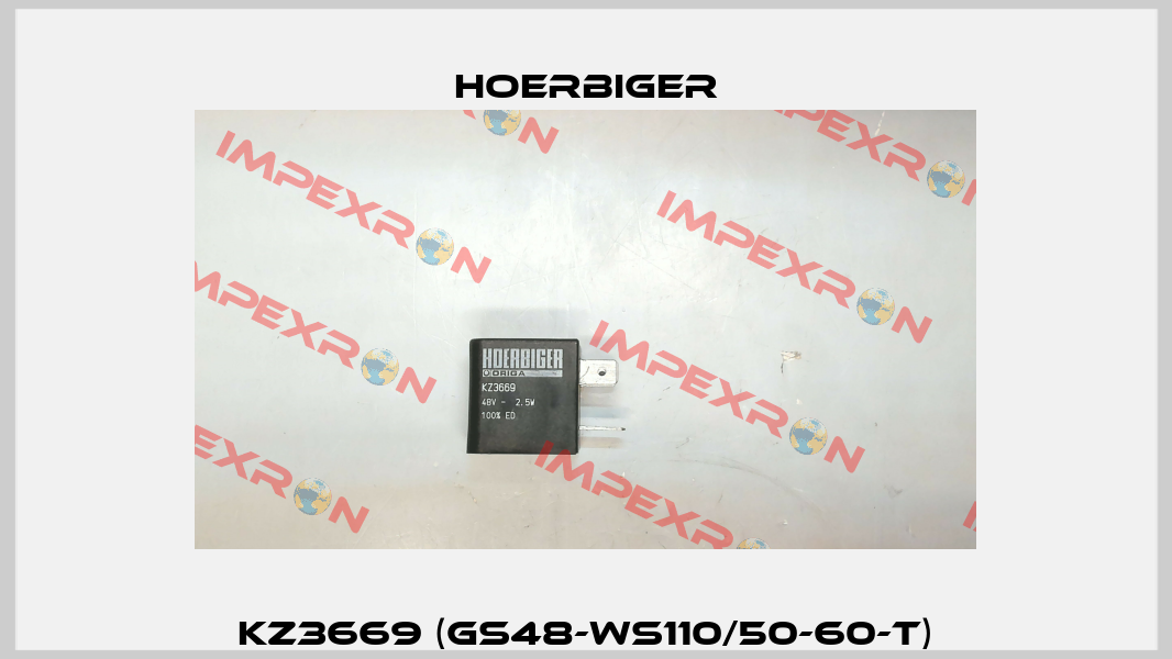 KZ3669 (GS48-WS110/50-60-T) Hoerbiger