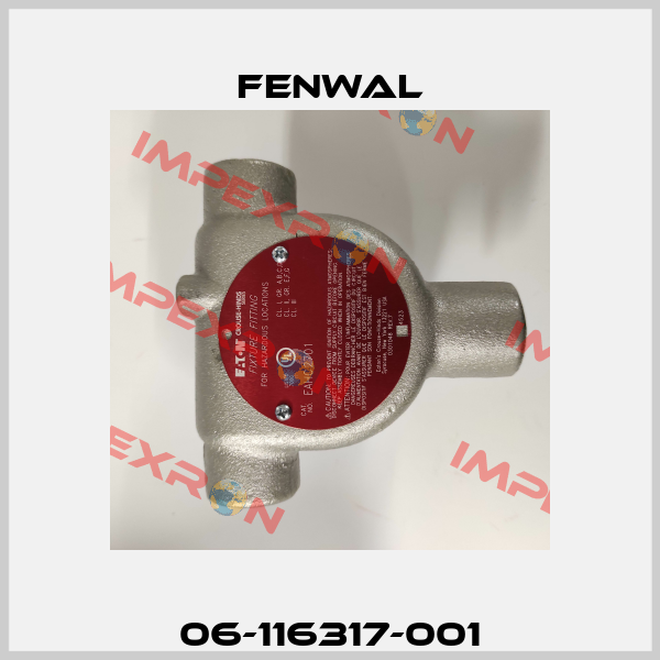 06-116317-001 FENWAL