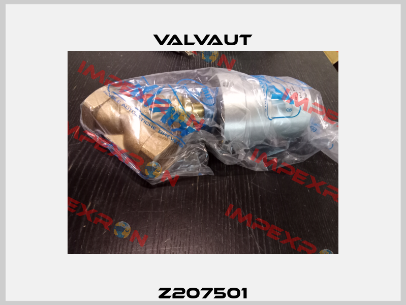 Z207501 Valvaut