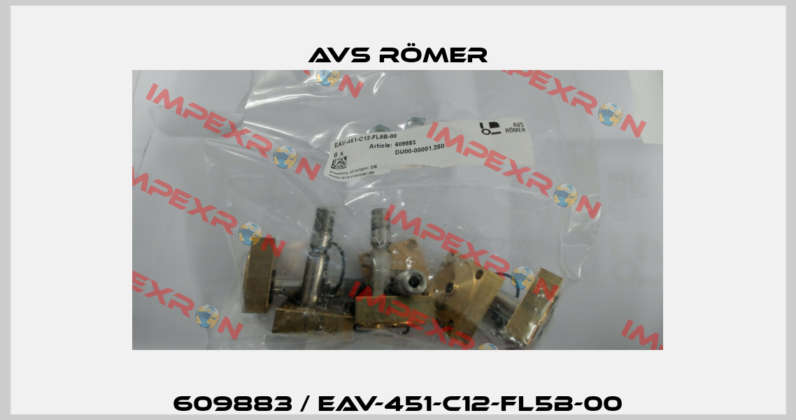 609883 / EAV-451-C12-FL5B-00 Avs Römer