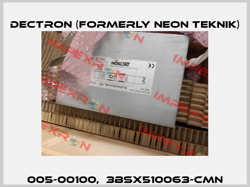 005-00100,  3BSX510063-CMN Dectron (formerly Neon Teknik)