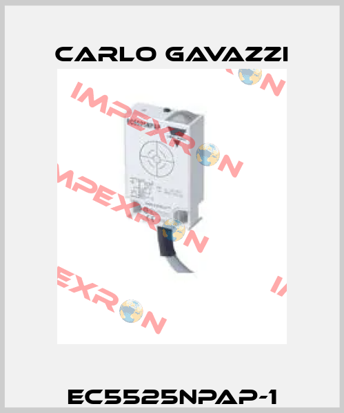 EC5525NPAP-1 Carlo Gavazzi