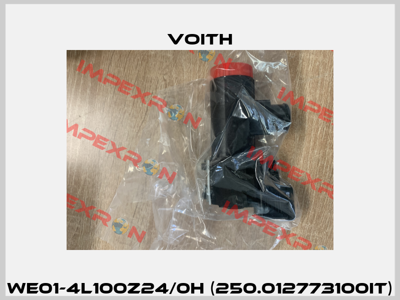 WE01-4L100Z24/0H (250.012773100IT) Voith