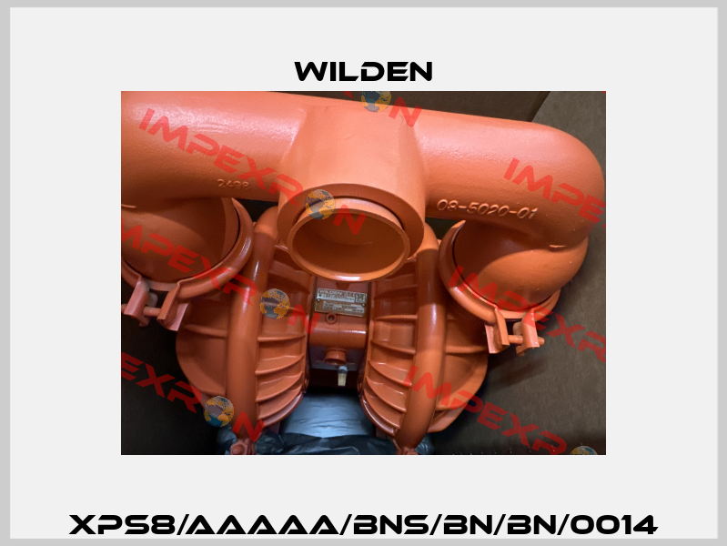 XPS8/AAAAA/BNS/BN/BN/0014 Wilden