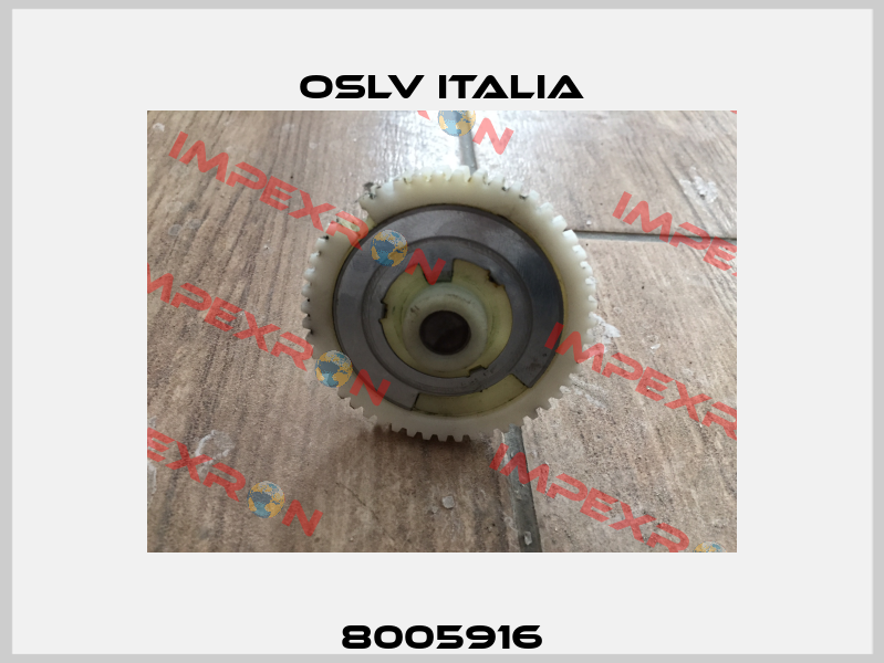 8005916 OSLV Italia