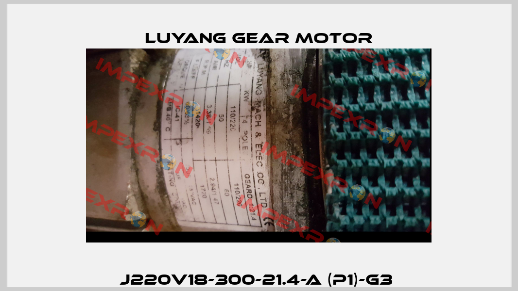 J220V18-300-21.4-A (P1)-G3  Luyang Gear Motor