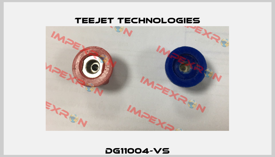 DG11004-VS TeeJet Technologies
