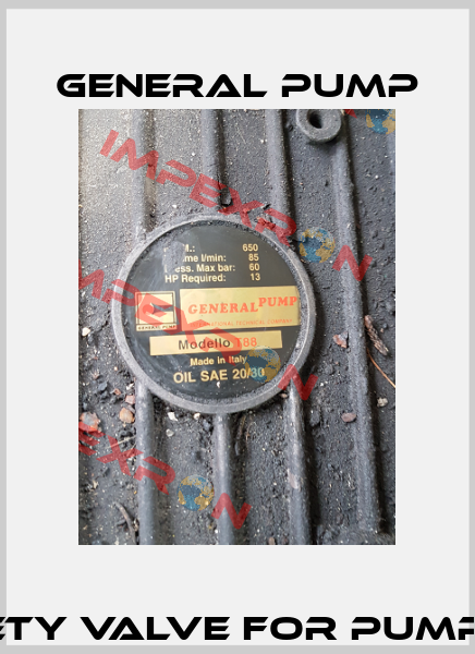 SAFETY VALVE for pump T88 General Pump