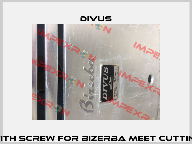 Cylinder with screw for Bizerba meet cutting machine  DIVUS