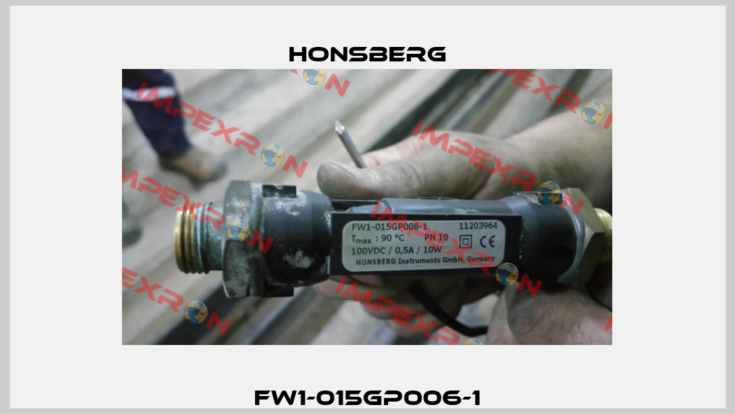 FW1-015GP006-1 Honsberg