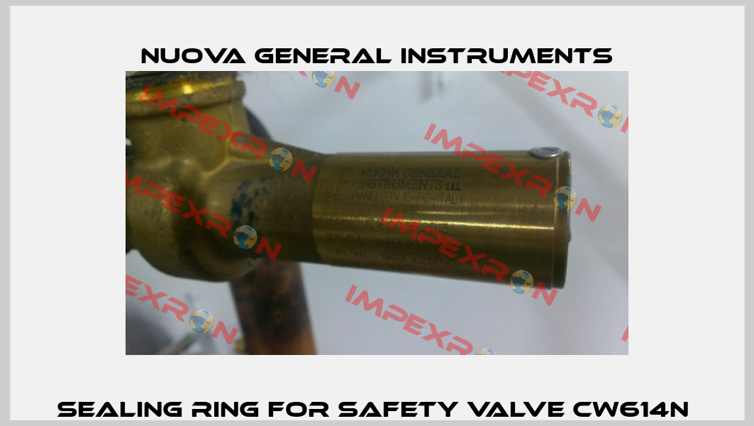 sealing ring for safety valve cw614n  Nuova General Instruments