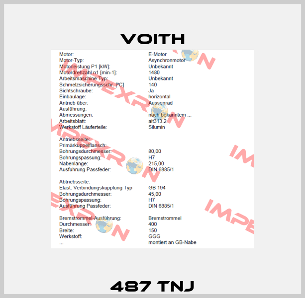 487 TNJ Voith