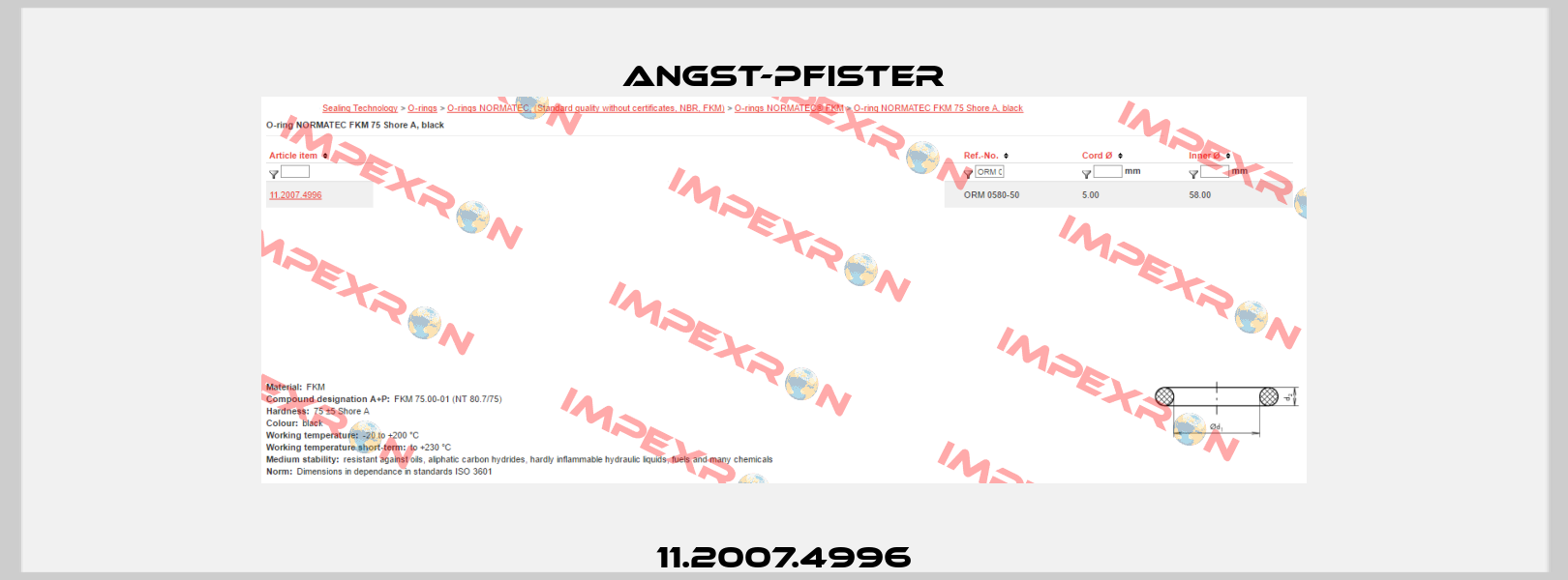 11.2007.4996 Angst-Pfister