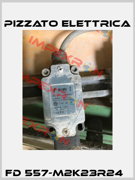 FD 557-M2K23R24   Pizzato Elettrica