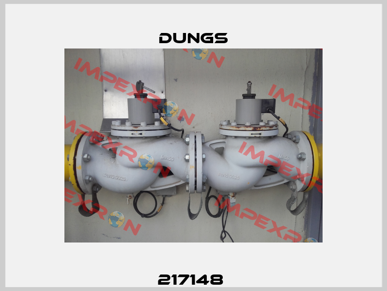 217148  Dungs
