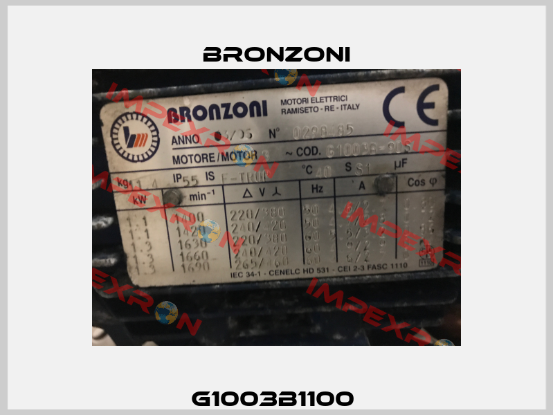G1003B1100  Bronzoni