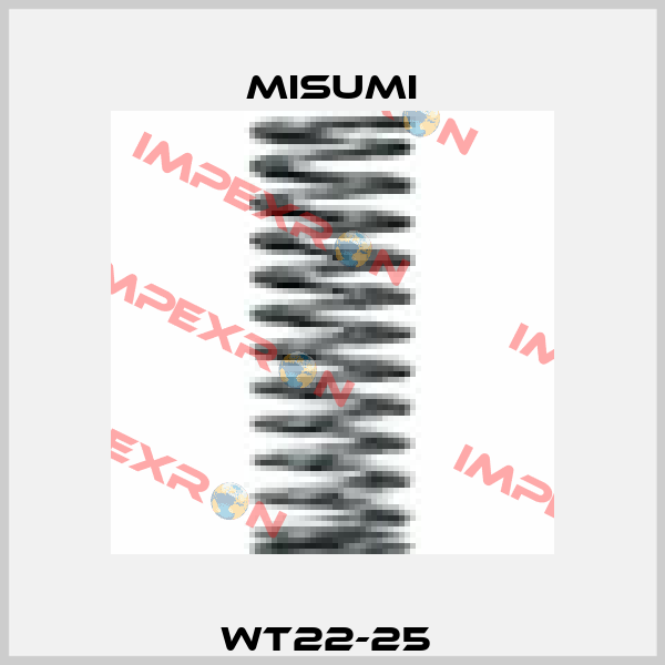 WT22-25  Misumi