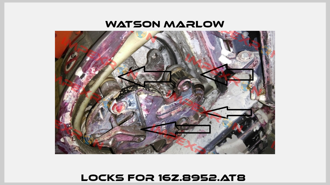 Locks For 16Z.8952.AT8  Watson Marlow