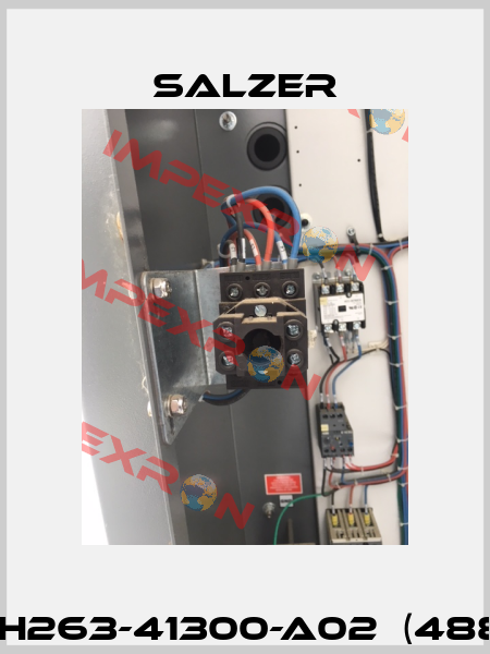 P/N:  H263-41300-A02  (488391)  Salzer