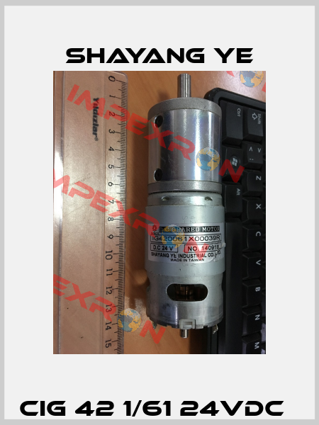 CIG 42 1/61 24VDC   SHAYANG YE