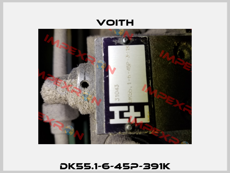 DK55.1-6-45P-391K Voith
