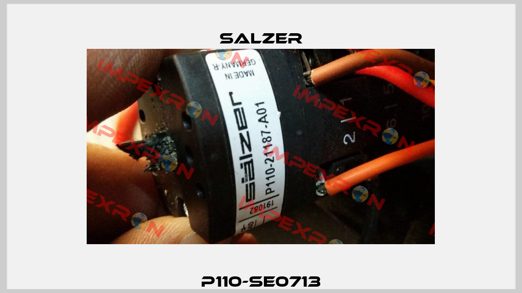 P110-SE0713 Salzer