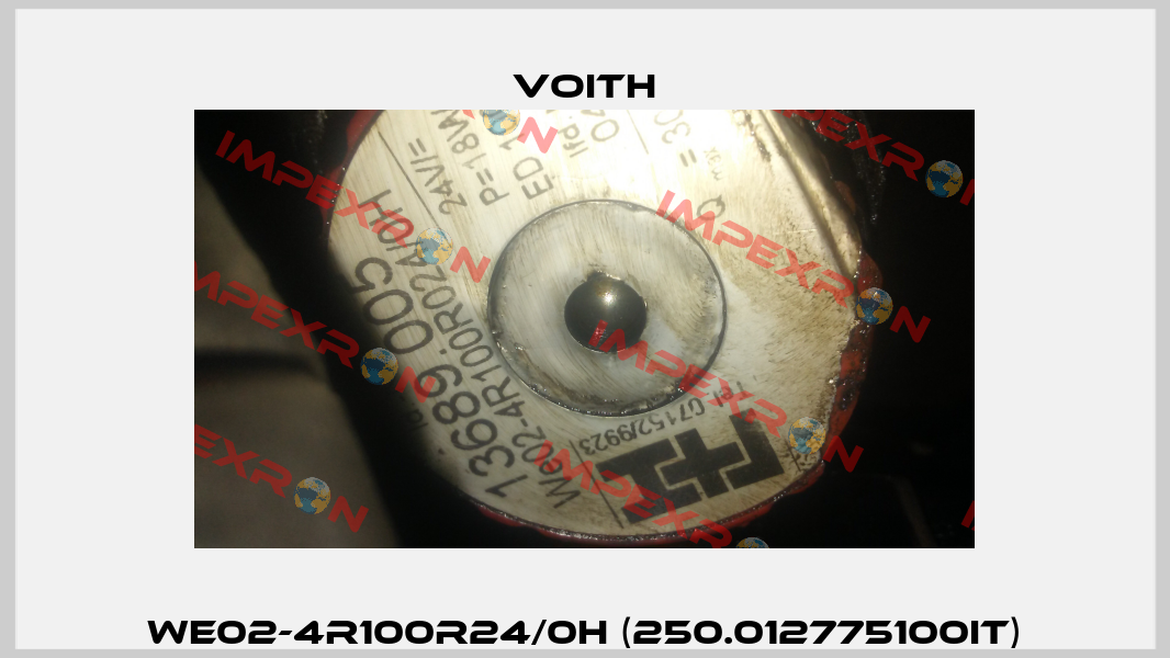 WE02-4R100R24/0H (250.012775100IT) Voith