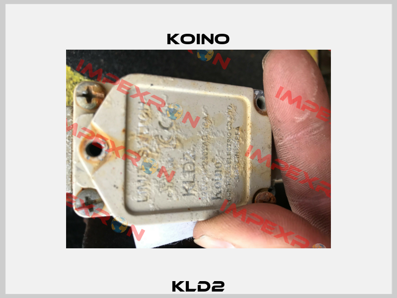 KLD2 Koino