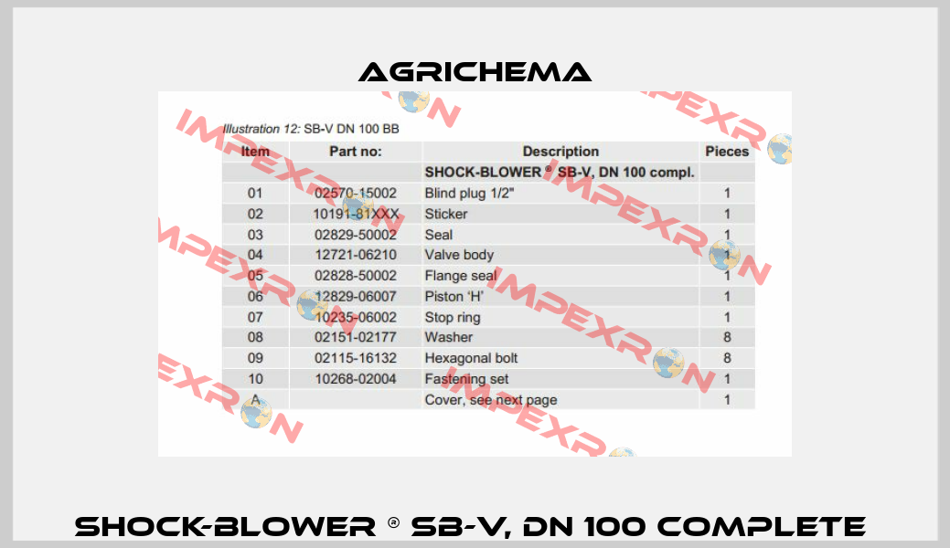 SHOCK-BLOWER ® SB-V, DN 100 complete  Agrichema