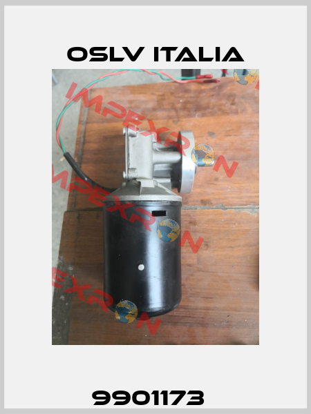 9901173   OSLV Italia